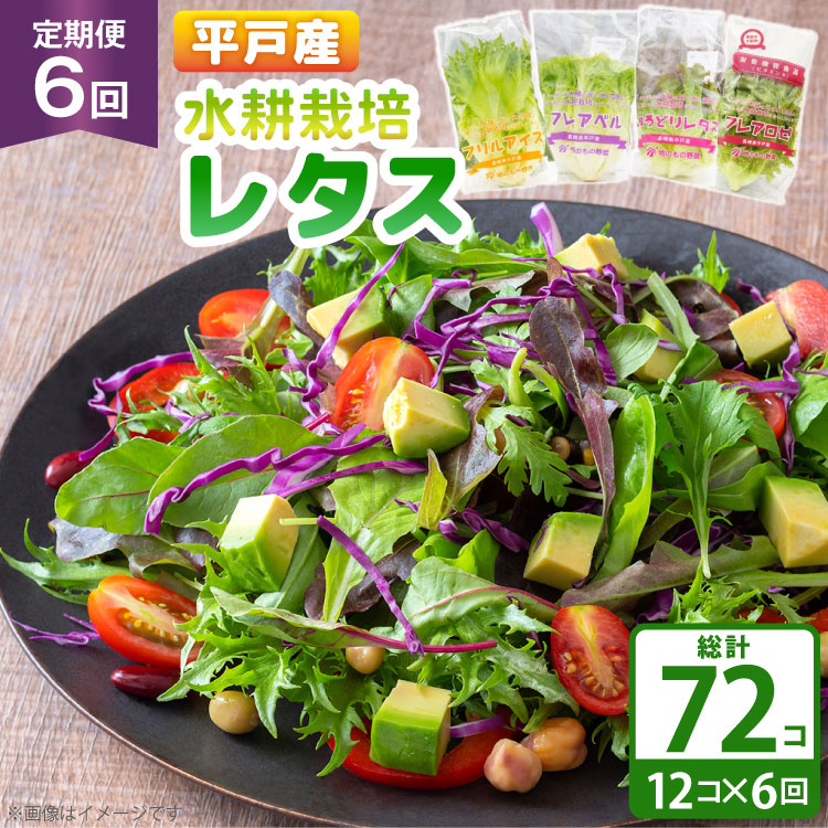 【ふるさと納税】レタス 水耕栽培 4種 12袋 セット 6回 定期便 総計72袋 食べ比べ 詰め合わせ [モロフジファーム 長崎県 平戸市 hr42bgy420230] サラダ 産地直送 個包装 小分け 野菜 フレッシュ 健康志向 緑黄色野菜
