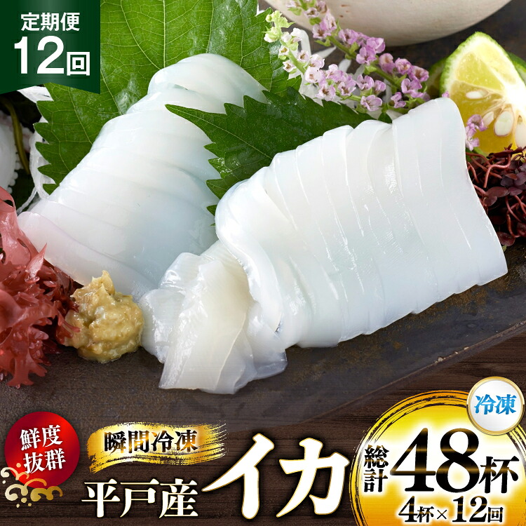 【ふるさと納税】海鮮 魚介 イカ 4杯 1パック（冷凍） 12回 定期便 [舘浦漁協 長崎県 平戸市 hr42bgy420351] おつまみ 新鮮 刺身 瞬間冷凍 冷凍 コリコリ 直送 冷凍 個包装 真空パック｜長崎県平戸市
