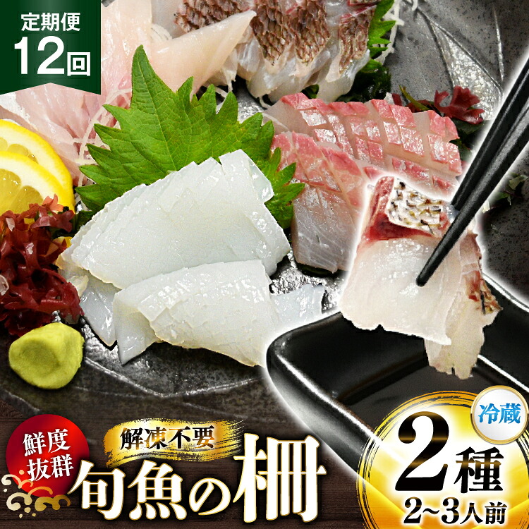 【ふるさと納税】 刺身 鮮魚 旬魚 の柵2種 セット （刺身1種& イカ 1種）（2～3人前 12回 定期便 [舘浦漁協 長崎県 平戸市 hr42bgy420046] おつまみ 柵 冷蔵 新鮮 海鮮 盛り合わせ 旬 切るだけ 真空パック｜長崎県平戸市 129,600円