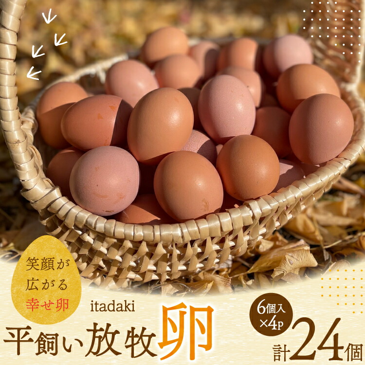 【ふるさと納税】 卵 平飼い たまご タマゴ 玉子 新鮮 平飼い放牧卵「itadaki」4パック 総計24個 [ナチュラルエッグラボ 長崎県 平戸市 hr42bgy420096] 鶏卵 オーガニック 放し飼い お取り寄せ 人気