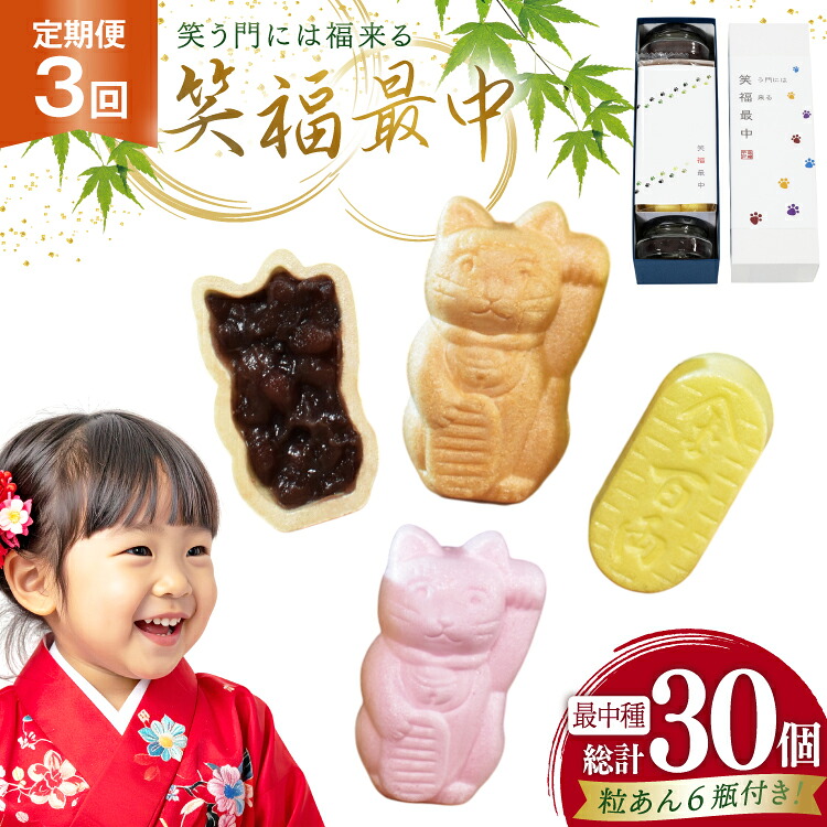 【ふるさと納税】 和菓子 もなか 笑福 最中 手作り キット 10個分 3回 定期便 計30個分 [牛蒡餅本舗熊屋 長崎県 平戸市 hr42bgy420447] お菓子 おやつ おかし スイーツ デザート 老舗 和菓子 菓子 あんこ 餡｜長崎県平戸市