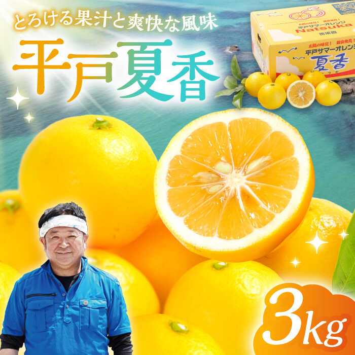 【ふるさと納税】【先行予約】とろける果汁と爽快な風味 平戸夏香【3kg（16個～25個）】 平戸市/善果園 [KAA322]今が旬
