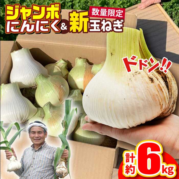 【ふるさと納税】ジャンボにんにく約1kg・新玉葱約5kgセット 平戸市 / しげさん農園  [KAA375]今が旬