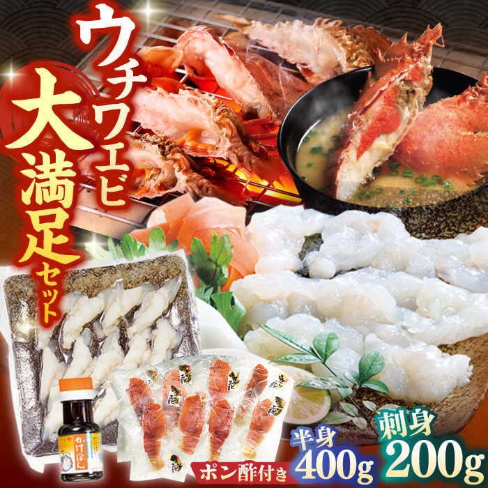 【ふるさと納税】【旨味と甘みを心ゆくまで】 ウチワエビ しゃぶしゃぶ A（刺身・半身セット） 平戸市 / ひばり [KAA059] エビ 海老 うちわえび 新鮮 鍋 刺身 小分け