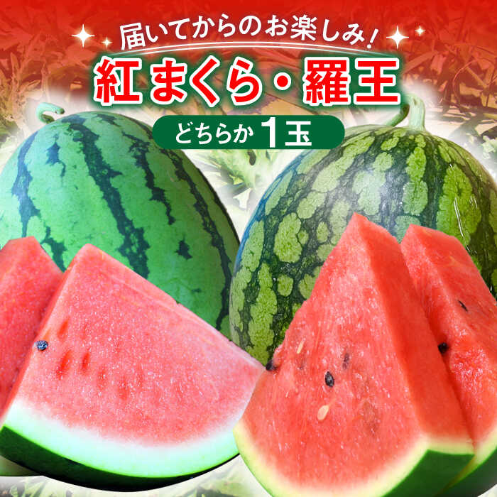 【ふるさと納税】【着日指定可能】【先行予約】夏の贅沢！あま～いスイカ！平戸産 スイカ  1玉（Lサイズ・6～7kg） [KAB118] すいか スイカ 西瓜 フルーツ 果物