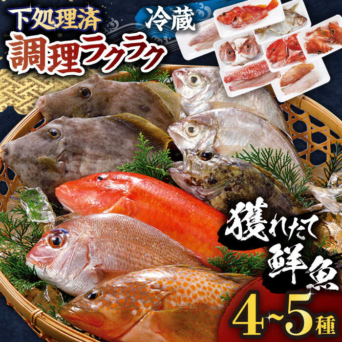 晩酌のお供に お試しひもの 5種セット KAD127 篠崎海産物店 魚介 おつまみ 平戸市 干物 いか一夜干し 国産 詰め合わせ あじの開き