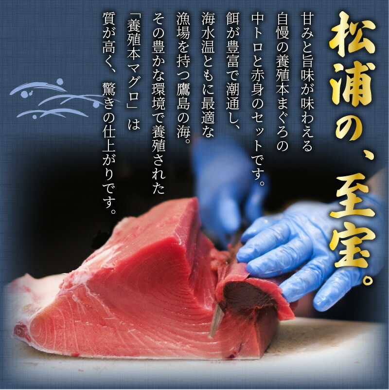 SALE／89%OFF】 鷹島産本まぐろ本気の食べ比べ 大トロ 中トロ 赤身合わせて600g 鷹島産 本マグロ 鮪 まぐろ 赤身 600グラム  600g 魚 生魚 刺身 海鮮 養殖 柵 敬老の日 fucoa.cl