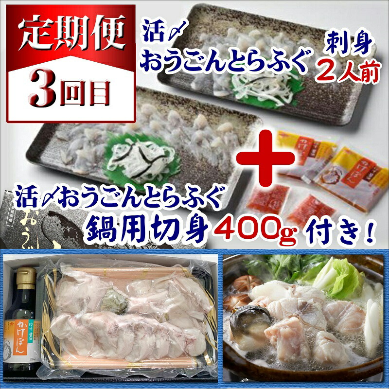 市場 ふるさと納税 全3回定期便 活〆おうごんとらふぐ刺身2人前セット