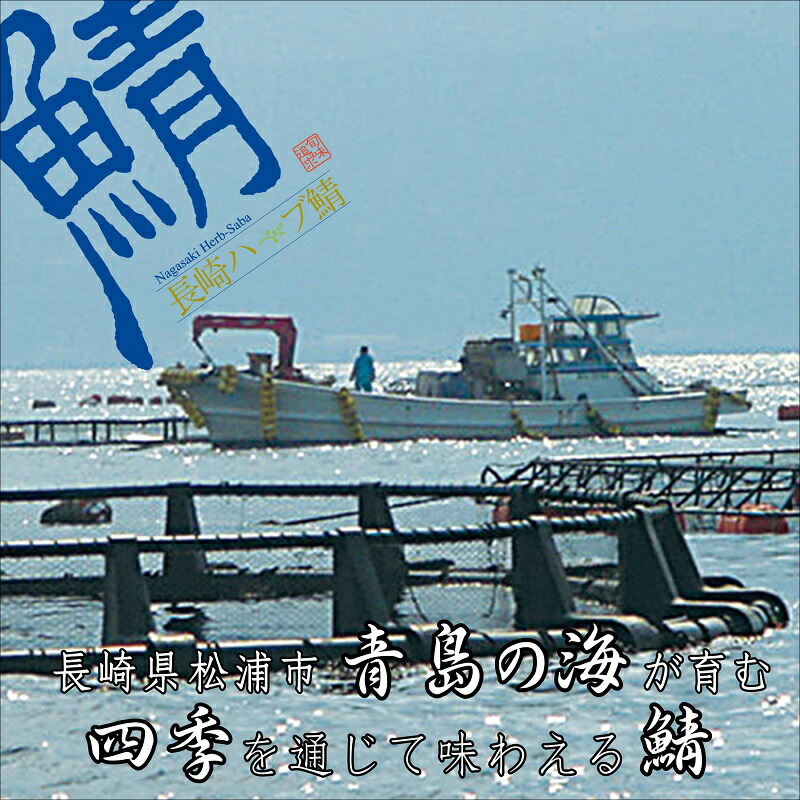 【ふるさと納税】サバがこんなに美味しいなんて!長崎ハーブ鯖の「炙りしめ鯖」2枚【B3-018】