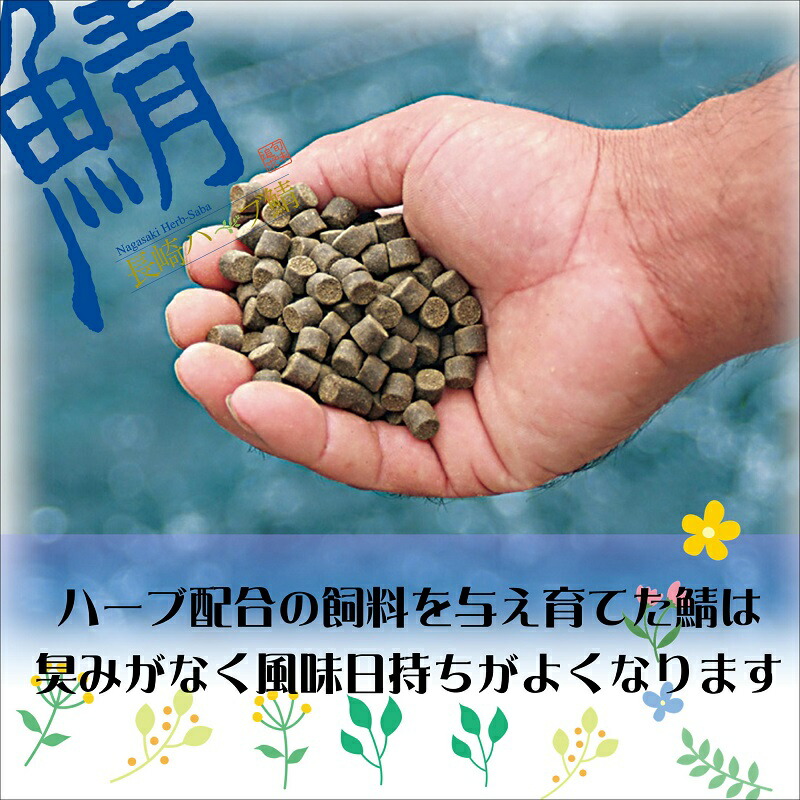 【ふるさと納税】サバがこんなに美味しいなんて!長崎ハーブ鯖の「炙りしめ鯖」2枚【B3-018】