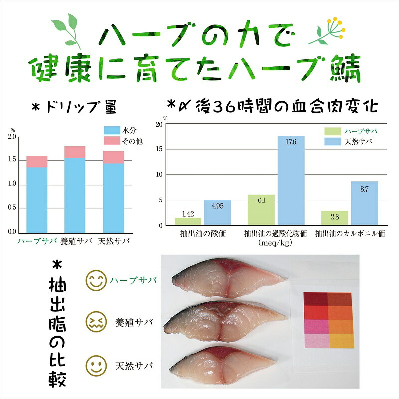 【ふるさと納税】サバがこんなに美味しいなんて!長崎ハーブ鯖の「炙りしめ鯖」2枚【B3-018】