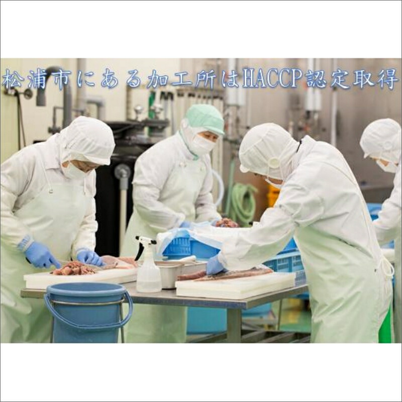 えんまきブランド旬さば 旬あじの干物と海鮮醤油漬けセット 鯵 干物 イカ 海鮮 サバ 魚 海鮮丼 さば 海 あじ 父の日海鮮 松浦 海の幸 鯖 ギフト アジ 詰め合わせ 魚介類 おつまみ 大容量 丼 いか 冷凍 肴 醤油漬け