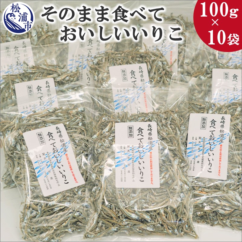 市場 ふるさと納税 いりこ カタクチイワシ イリコ そのまま食べておいしいいりこ100g 10袋 B0 077 鰯 イワシ 塩分無添加 5年連続入賞 いわし
