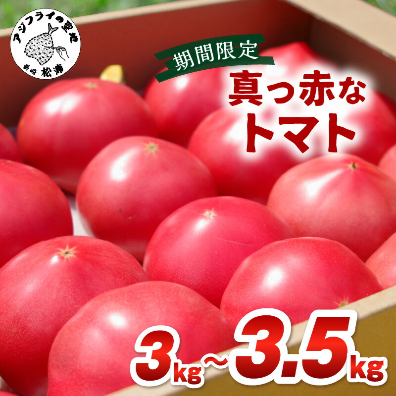 【ふるさと納税】期間限定 真っ赤なトマト3kg～3.5kg【A9-015】 トマト リコピン サラダ ジュース 3キロ夏野菜 トマト 大容量 野菜 松浦 高糖度 甘い