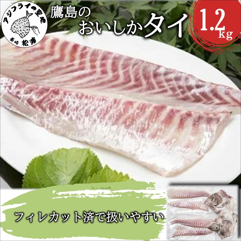 【ふるさと納税】＼母の日・父の日／鷹島のおいしかタイ1.2kg【B5-098】 魚 タイ 鯛 お刺身 煮つけ 塩焼き 魚 アラ 送料無料
