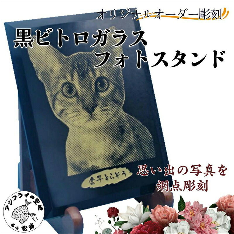 さば缶