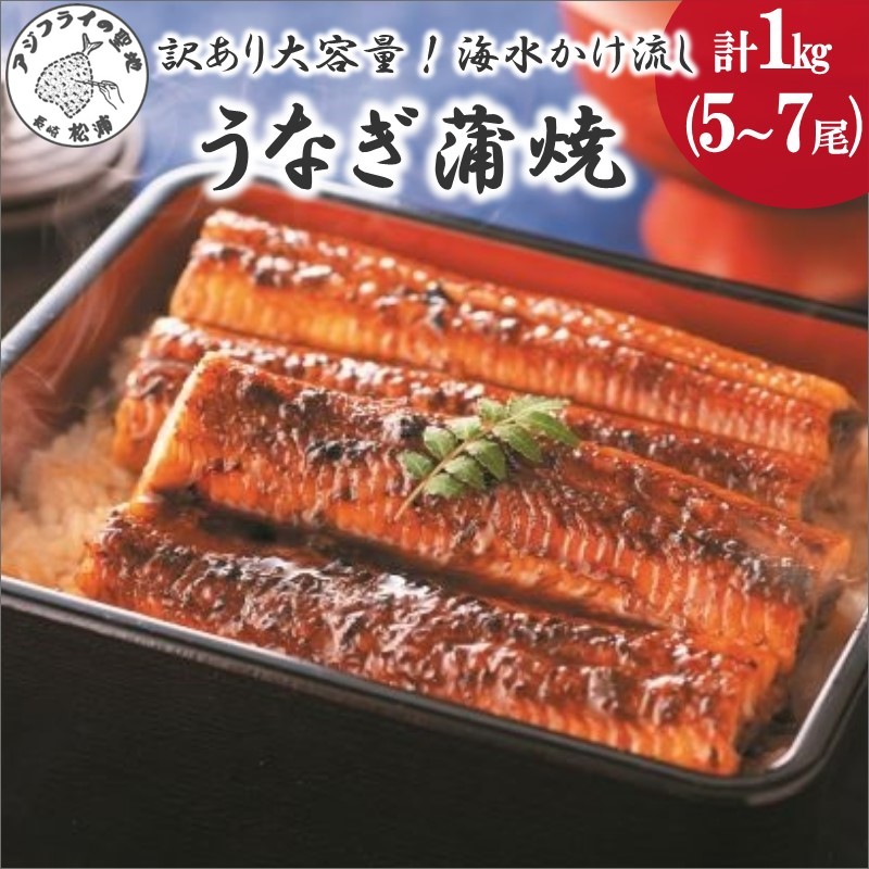【ふるさと納税】＼お中元熨斗対応／訳あり大容量！海水かけ流しうなぎ5尾～7尾【F0-008】 うなぎ 訳あり 国産 ウナギ 鰻 蒲焼き 蒲焼 かば焼き うなぎ蒲焼 養殖 産地直送 魚 魚介類 海の幸 不揃い 規格外 ふるさと納税 訳あり海鮮 丼 松浦 直送 大容量