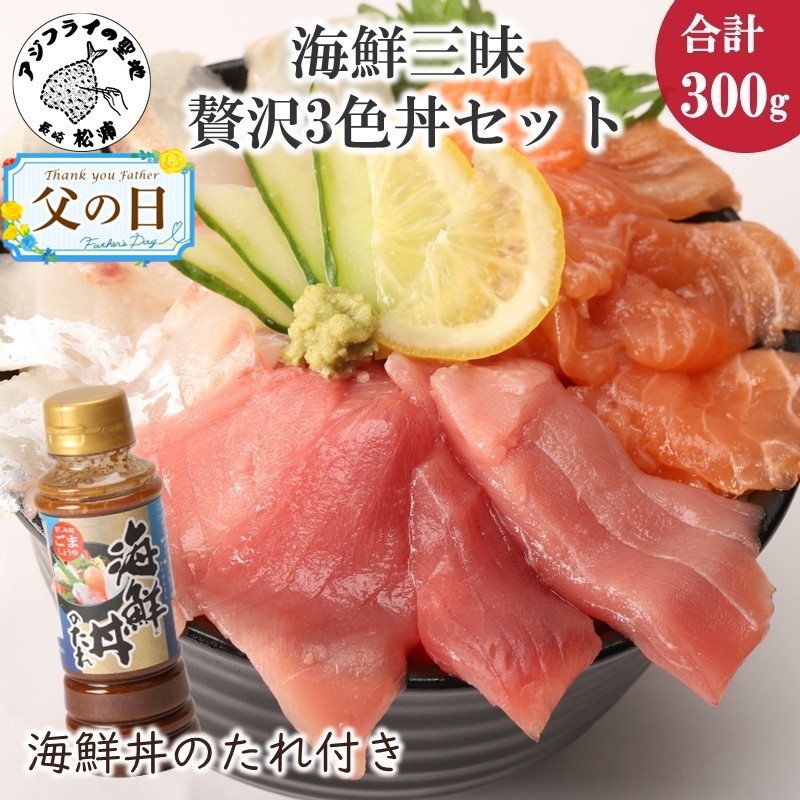 【ふるさと納税】＼父の日・お中元／海鮮丼のたれ付！海鮮三昧贅沢3色丼セット 100g×3パック【B0-158】 海鮮 ふるさと納税 海鮮丼 ふるさと納税 刺身 刺身セット マグロ 鮪 真鯛 タイ たい 鮭 サーモン 切り落とし セット カルパッチョ 簡単調理 ギフト プレゼント 贈り物