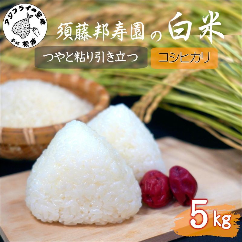 【ふるさと納税】【令和7年産】須藤邦寿園の白米 コシヒカリ5kg【B6-051】｜長崎県松浦市 12,480円