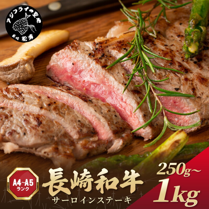 【ふるさと納税】 【A4~A5】長崎和牛サーロインステーキセット 250g 500g 750g 1kg|長崎県松浦市