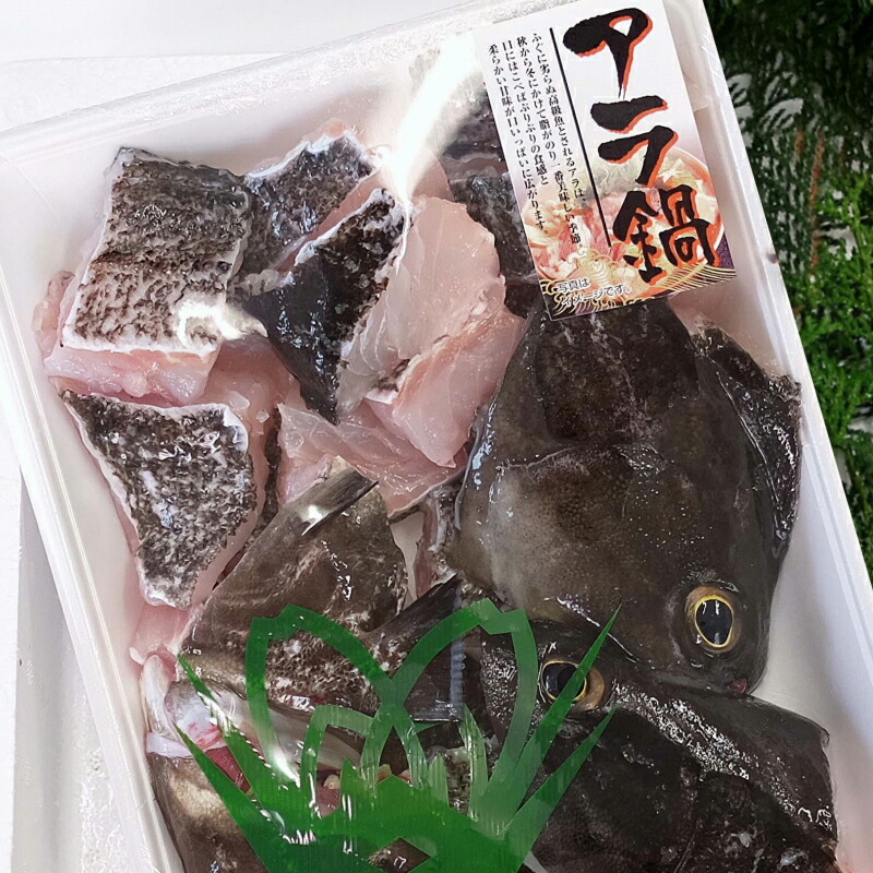 ふるさと納税 A 187 格別の旨さ 対馬産アラ クエ 鍋カット 人前 余震で注意すること 内容量 Diasaonline Com