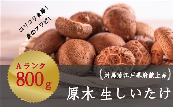 ふるさと納税 A 1 対馬原木生命現象しいたけ上面どんこ A貫目貢物物指し 800g Chspandc Org Au