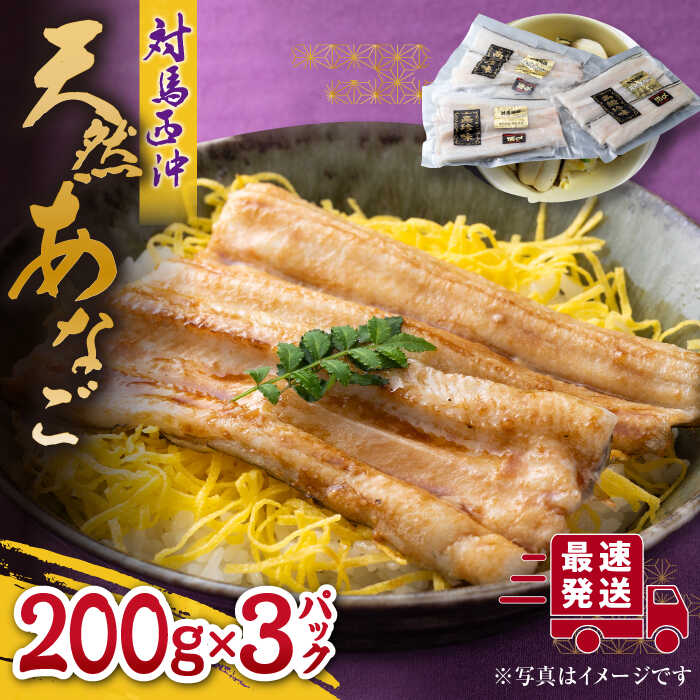 【ふるさと納税】【最速発送】天然 アナゴ 200g × 3パック 《対馬市》【保家商事】 西沖 あなご 穴子 海鮮 海産物 魚介 [WAA005] 14000 14000円 スピード発送 最短発送