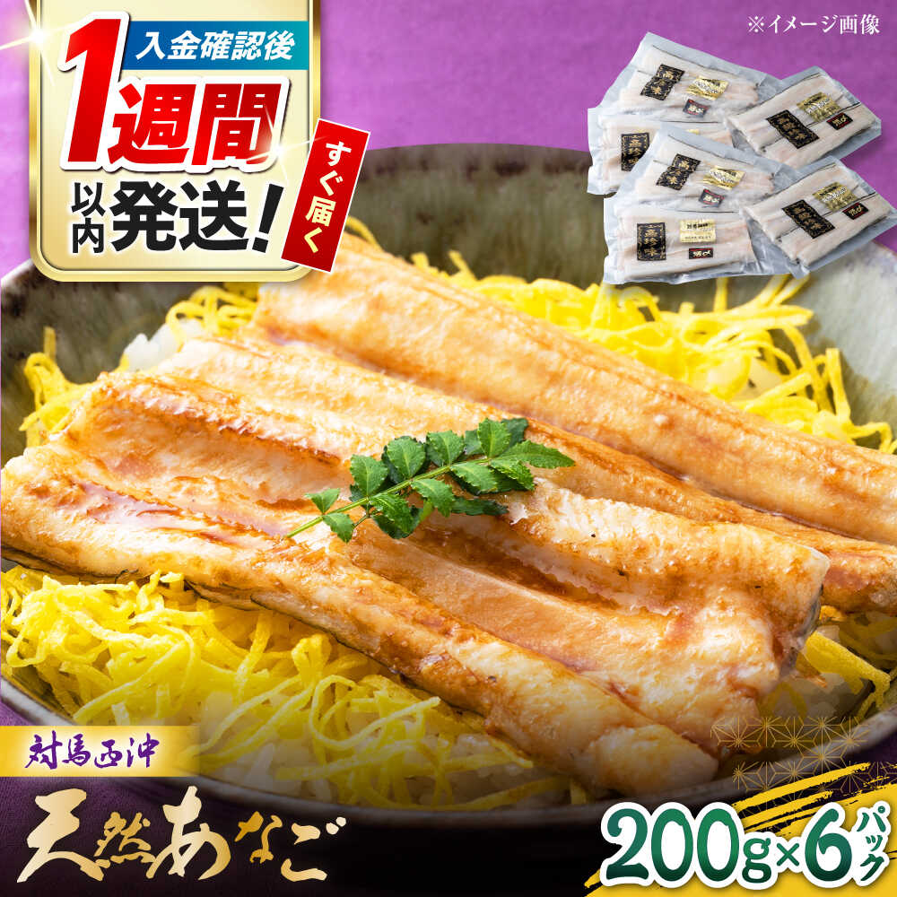【ふるさと納税】【1週間以内発送】対馬産 西沖あなご 200g×6パック《対馬市》【保家商事】 あなご 穴子 アナゴ 海鮮 海産物 魚介[WAA037] スピード発送 最速発送 最短発送