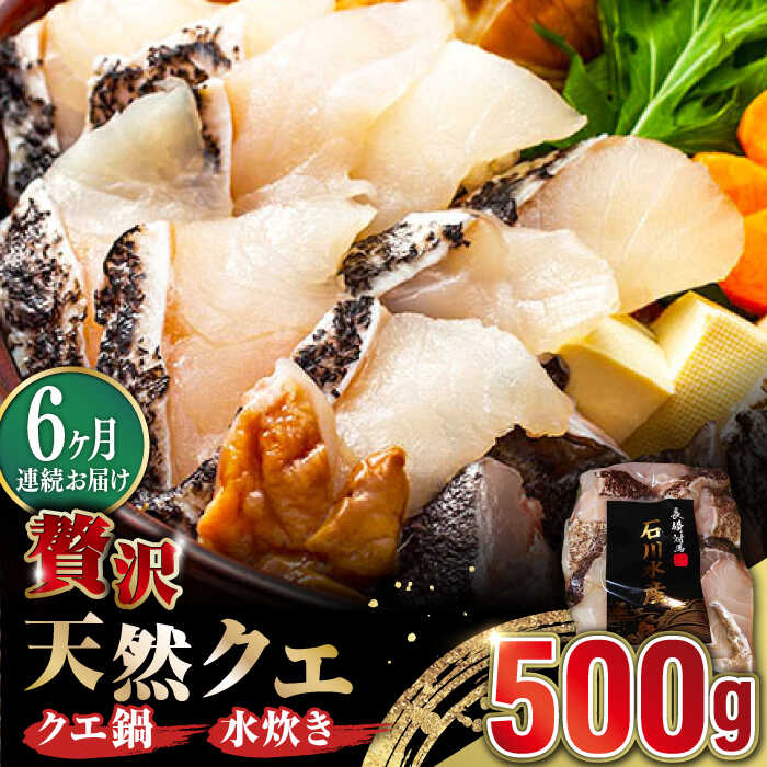 【ふるさと納税】【全6回定期便】【 対馬産 】 天然 クエ 500g （切り身）《対馬市》【石川水産】 鍋 水炊き 鮮度抜群 海鮮 クエ 天然クエ[WAB019]