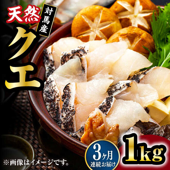 【ふるさと納税】【全3回定期便】【 対馬産 】 天然 クエ 1kg（500g×2）（切り身）《対馬市》【石川水産】 鍋 水炊き 鮮度抜群 海鮮 クエ 天然クエ[WAB024]
