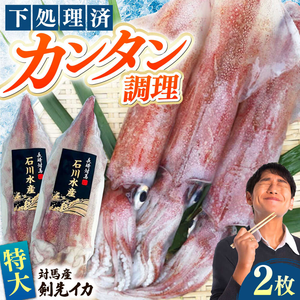 【ふるさと納税】【特大】 剣先 イカ （ 生 冷凍 ）2枚 《対馬市》【石川水産】刺身 塩辛 鮮度抜群 海鮮[WAB027]