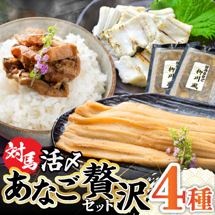 【ふるさと納税】対馬産 あなご 贅沢 セット 《対馬市》【対馬地域商社】九州 長崎 煮あなご 佃煮 アナゴ [WAC002] 22000 22000円