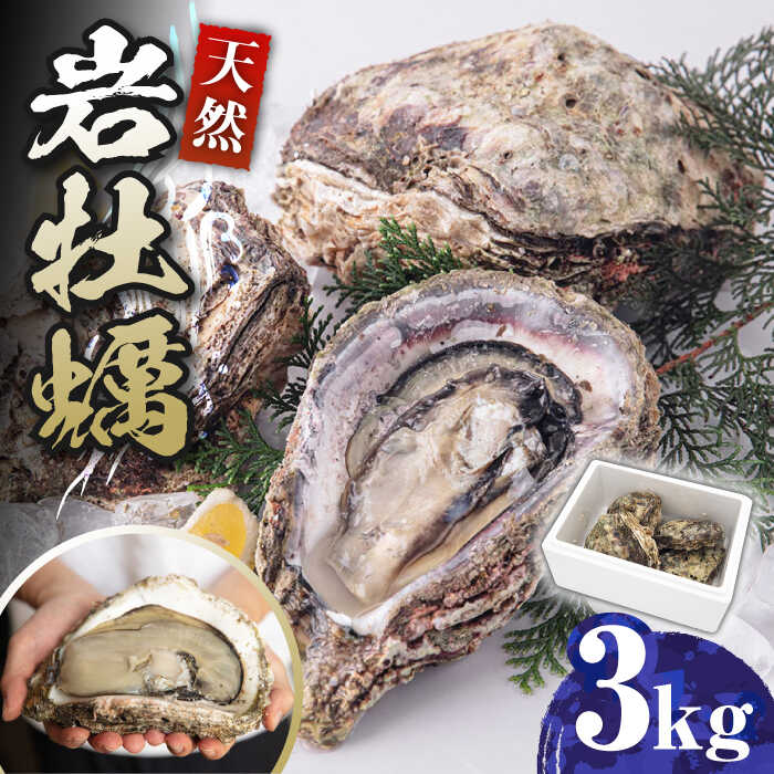 【ふるさと納税】天然 岩ガキ 3kg《対馬市》【海風商事】国産 九州 長崎 牡蠣 [WAD001]｜長崎県対馬市