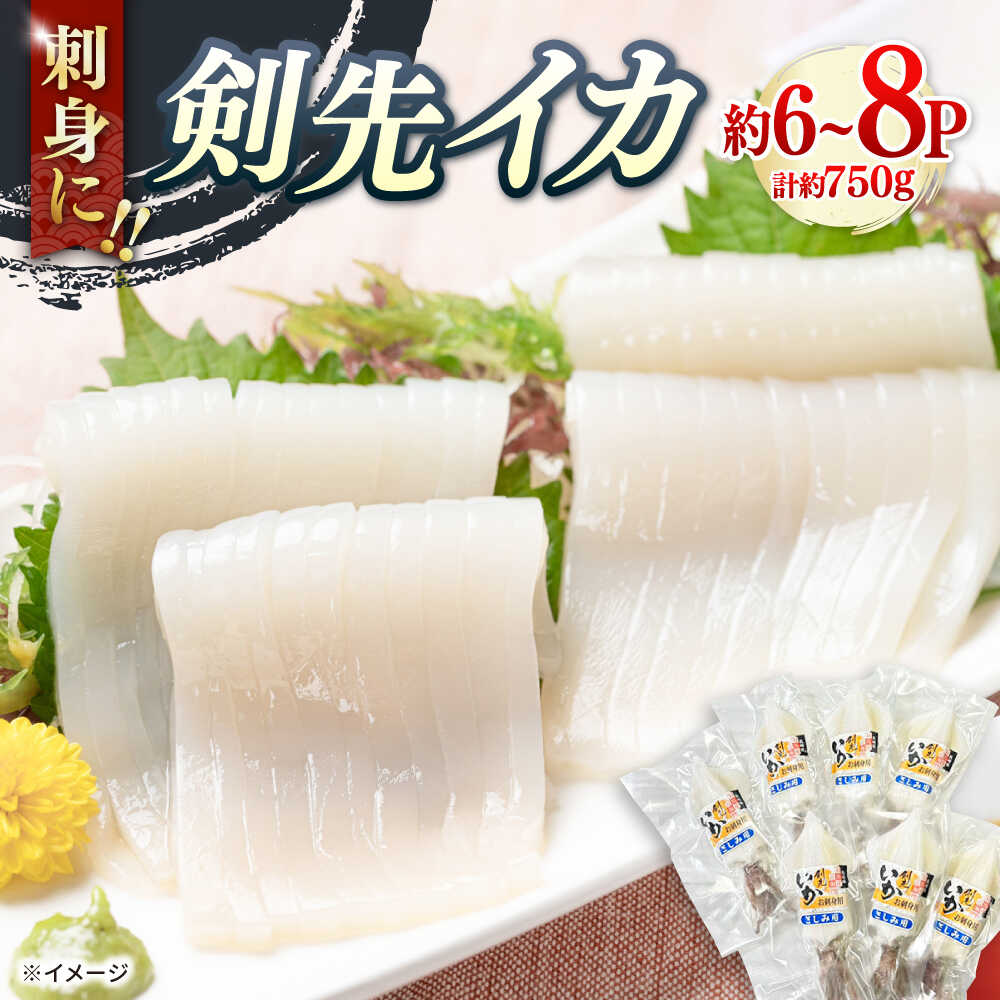 【ふるさと納税】剣先イカ 750g(約6～8本) セット【丸徳水産】《対馬市》鮮度抜群 新鮮 ケンサキイカ シロイカ 下処理済 刺身 BBQ 惣菜 天ぷら フライ 海鮮[WAE012]｜長崎県対馬市