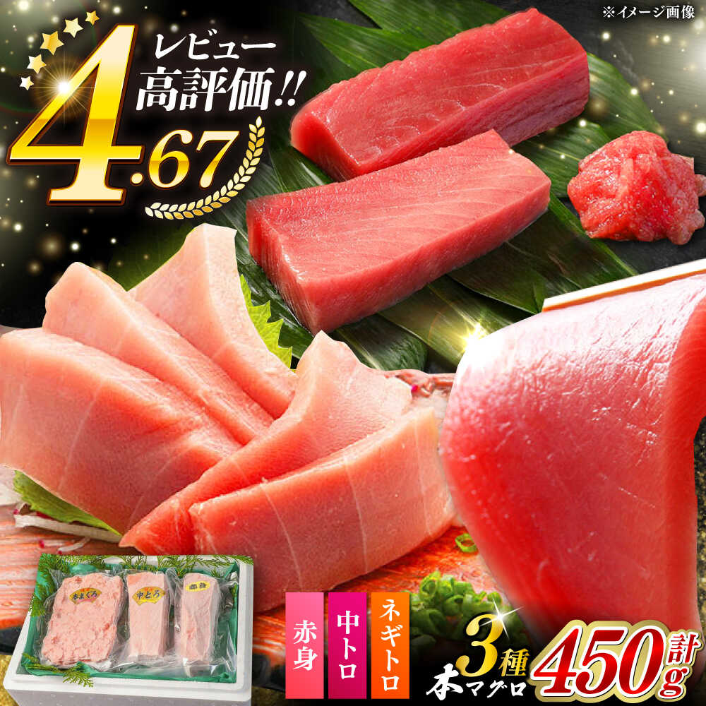 【ふるさと納税】対馬産 本マグロ 3種 計450g （ 赤身 / 中トロ / ネギトロ ）《対馬市》【対海】[WAH002]  マグロ 鮪 本鮪 トロ まぐろ 中トロ 中とろ 鮪 本マグロ 赤身 ねぎとろ ネギトロ 海鮮