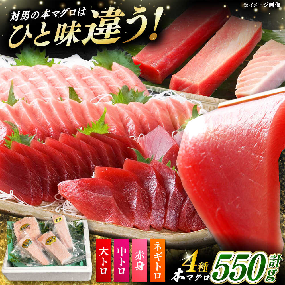【ふるさと納税】対馬産 本マグロ 4種 計550g ( 赤身 / 中トロ / 大トロ / ネギトロ )《対馬市》【対海】  [WAH003] 冷凍 マグロ まぐろ 中トロ 鮪 本マグロ 赤身 ネギトロ 冷凍 海鮮 大トロ