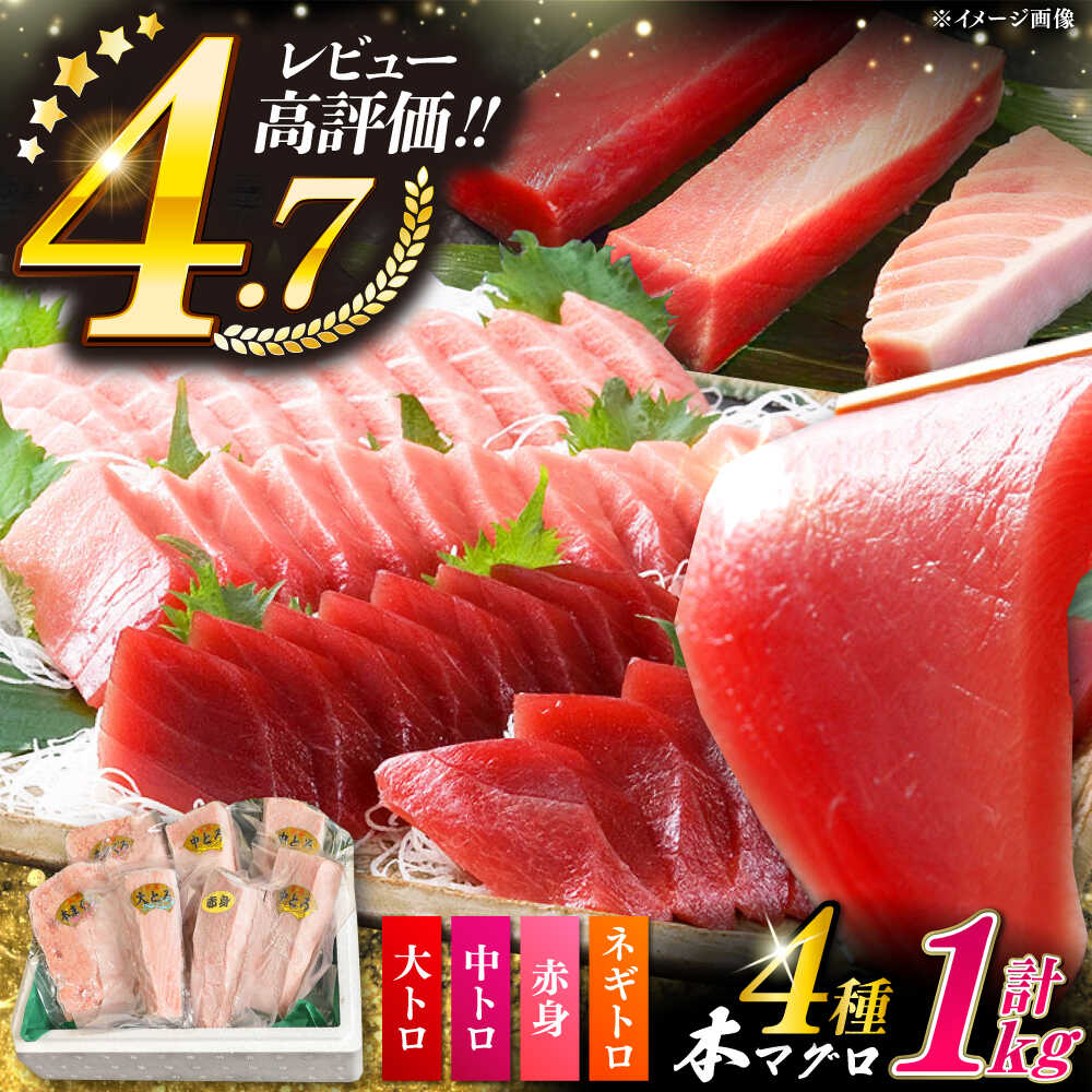 【ふるさと納税】対馬産 本マグロ 4種 計1kg ( 赤身 / 中トロ / 大トロ / ネギトロ )《対馬市》【対海】 [WAH004] 冷凍 マグロ まぐろ 中トロ 鮪 本マグロ 赤身 ネギトロ 海鮮 大トロ 冷凍