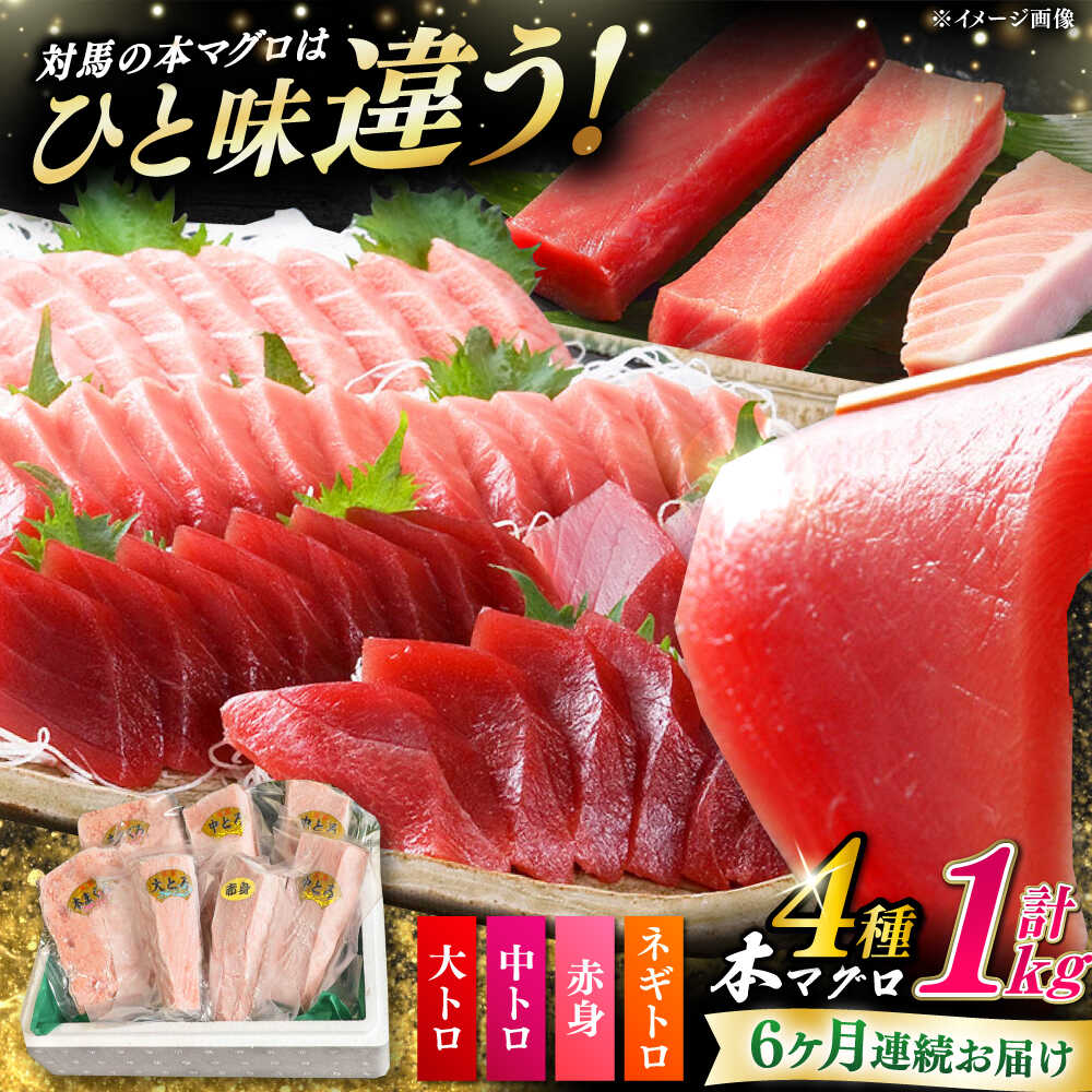【ふるさと納税】【全6回定期便】対馬産 本マグロ 4種 計1kg ( 赤身 / 中トロ / 大トロ / ネギトロ 《対馬市》【対海】 [WAH007] 新鮮 マグロ 鮪 本鮪 赤身 中トロ 大トロ ネギトロ 海鮮 冷凍 定期