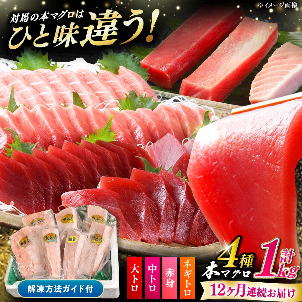 【ふるさと納税】【全12回定期便】対馬産 本マグロ 4種 計1kg ( 赤身 / 中トロ / 大トロ / ネギトロ ）《対馬市》【対海】 [WAH008] 新鮮 マグロ 鮪 本鮪 赤身 中トロ 大トロ ネギトロ 海鮮 冷凍 定期｜長崎県対馬市
