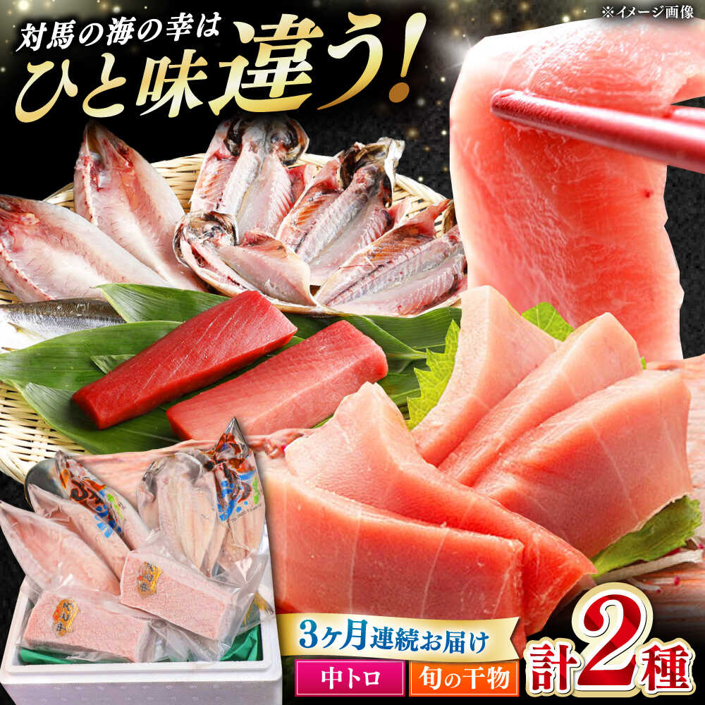 【ふるさと納税】【全3回定期便】対馬産 本マグロ 中トロ300g ＆干物《対馬市》【対海】 [WAH009] 新鮮 マグロ 鮪 本鮪 トロ 海鮮 冷凍 浜干し ひもの 中トロ まぐろ 定期