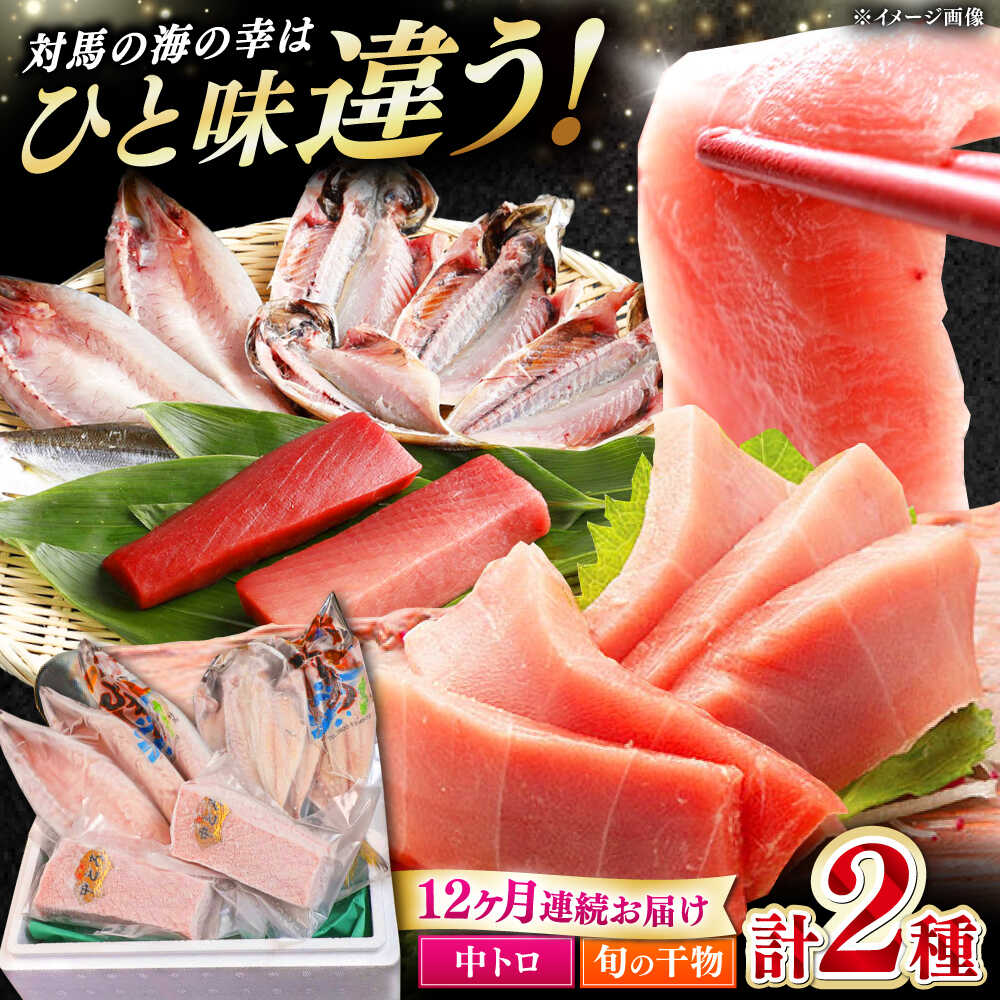 【ふるさと納税】【全12回定期便】対馬産 本マグロ 中トロ300g ＆干物《対馬市》【対海】 [WAH011] 新鮮 マグロ 鮪 本鮪 トロ 海鮮 冷凍 浜干し ひもの 定期