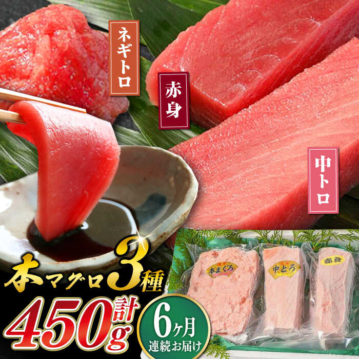 【ふるさと納税】【全6回定期便】対馬産 本マグロ 3種 計450g （ 赤身 / 中トロ / ネギトロ ）《対馬市》【対海】[WAH013]  新鮮 マグロ 鮪 本鮪 赤身 中トロ 大トロ ねぎとろ 海鮮 冷凍 定期