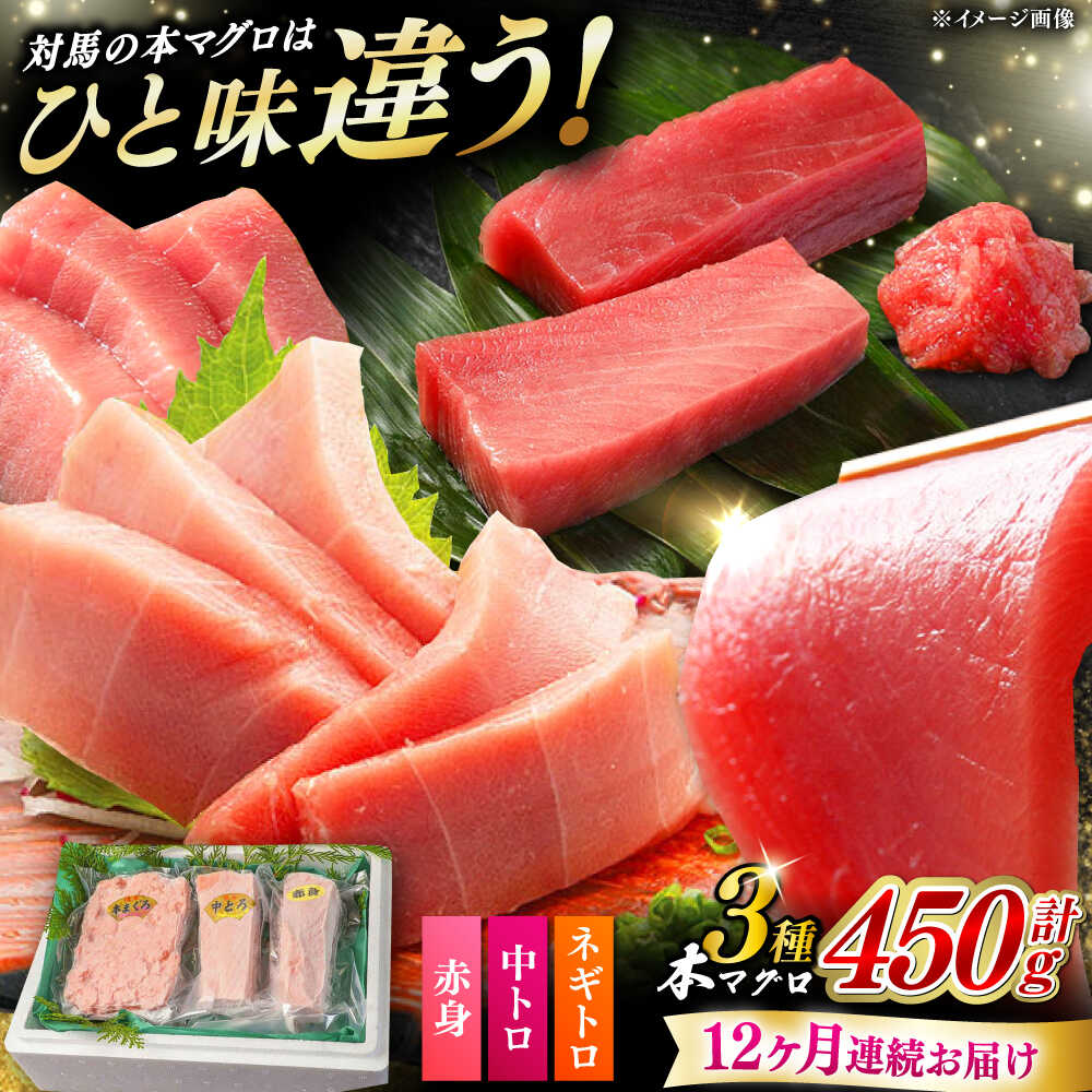 【ふるさと納税】【全12回定期便】対馬産 本マグロ 3種 計450g （ 赤身 / 中トロ / ネギトロ ）《対馬市》【対海】[WAH014] 新鮮 マグロ 鮪 本鮪 赤身 中トロ 大トロ ねぎとろ 海鮮 冷凍 定期｜長崎県対馬市