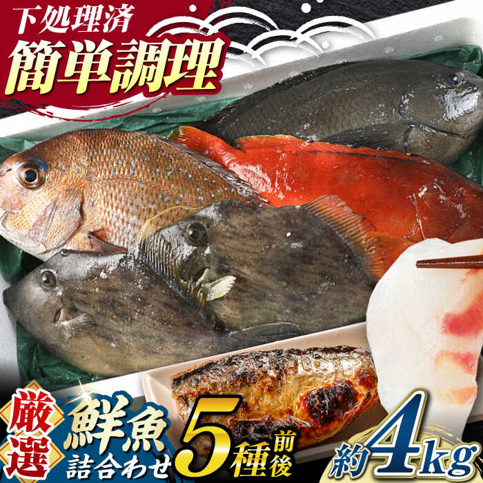 【ふるさと納税】【期間限定！】対馬産 鮮魚 詰め合わせ 5種前後 4.0kg《対馬市》【対海】[WAH022] 新鮮 天然 直送 冷蔵 セット 海鮮 刺身 魚介類