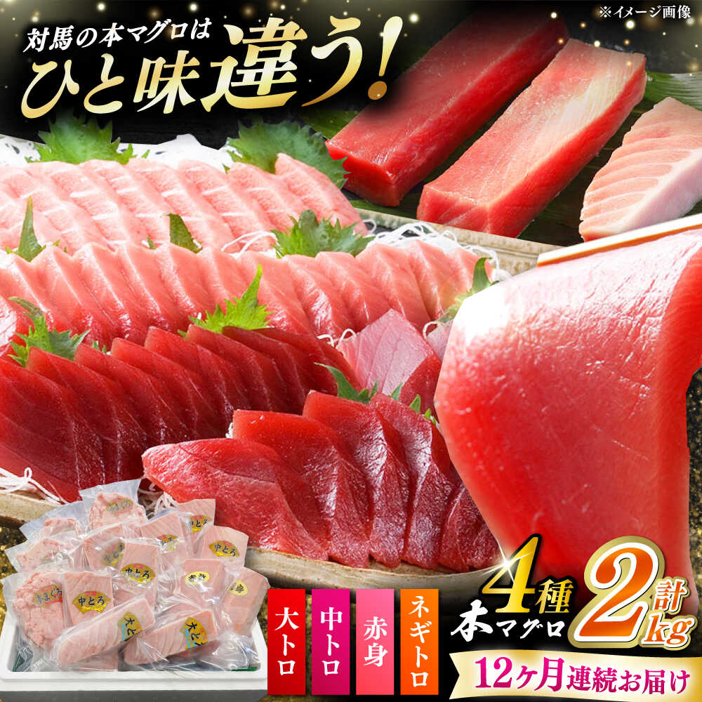 楽天市場】【ふるさと納税】【全12回定期便】対馬産 本マグロ 4