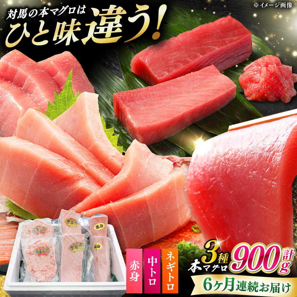 【ふるさと納税】【全6回定期便】 対馬産 本マグロ 3種 計900g（赤身/中トロ/ネギトロ）《対馬市》【対海】 冷凍配送 食べ比べ 贈り物 魚介類[WAH041]｜長崎県対馬市