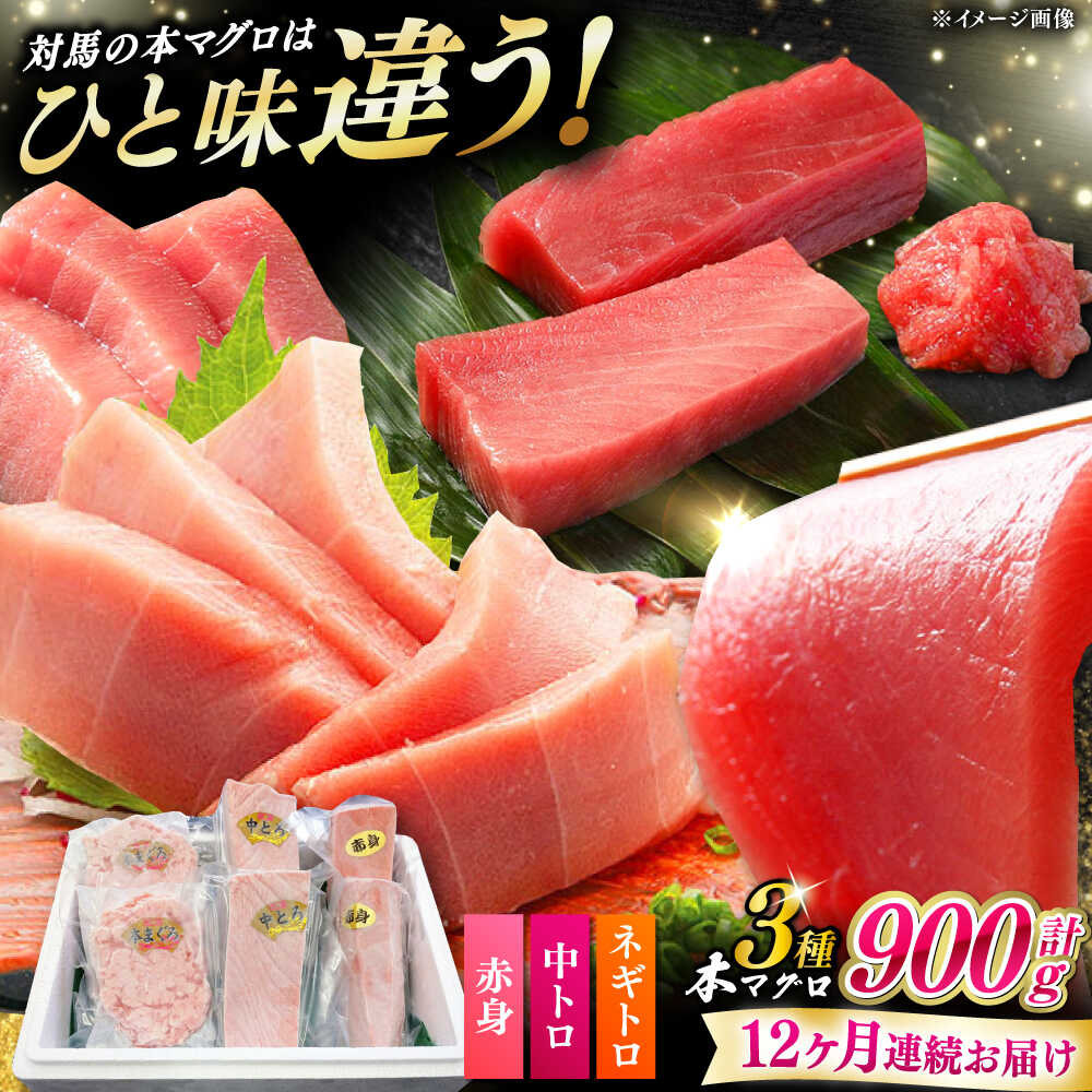 【ふるさと納税】【全12回定期便】 対馬産 本マグロ 3種 計900g（赤身/中トロ/ネギトロ）《対馬市》【対海】 冷凍配送 食べ比べ 贈り物 魚介類[WAH042]｜長崎県対馬市