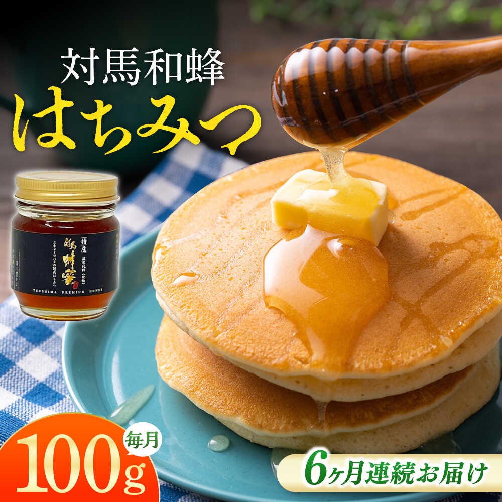 【ふるさと納税】【全6回定期便】 対馬 和蜂 はちみつ 100g×1本 《対馬市》【特定非営利活動法人 對馬次世代協議会（対馬コノソレ）】 蜂蜜 ハチミツ 日本ミツバチ ニホンミツバチ[WAM044]