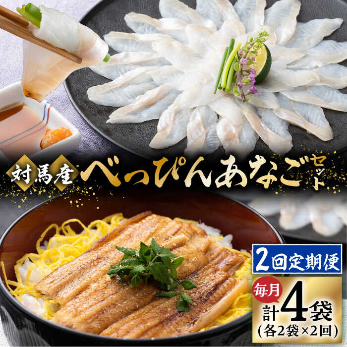 【ふるさと納税】【全2回定期便】対馬産 べっぴん あなご 詰め合わせ 《対馬市》【桐谷商店】 対馬 新鮮 ふわふわ 穴子 刺身 海産物 魚介 冷凍配送[WAQ016]