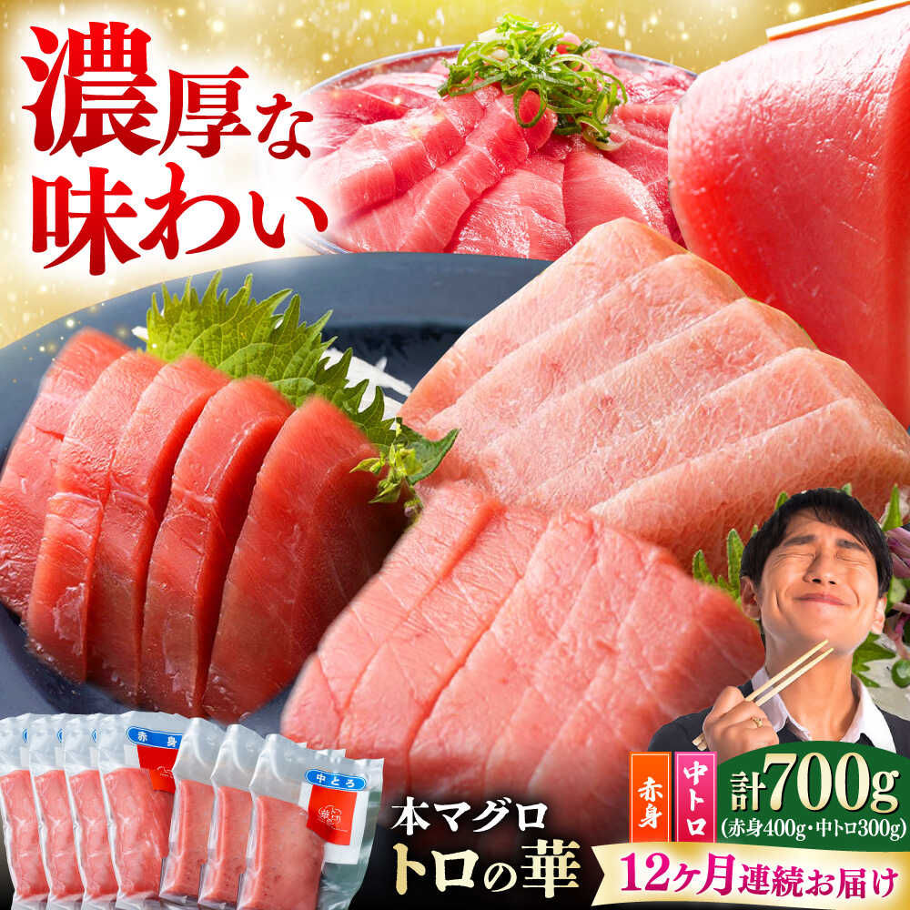 【ふるさと納税】【全12回定期便】対馬産 本マグロ 700g（赤身400g、中トロ300g） ≪対馬市≫【桐谷商店】 トロの華 対馬 新鮮 マグロ トロ 鮪 刺身 鮮度抜群[WAQ050]｜長崎県対馬市